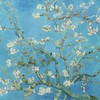 Vincent Van Gogh Blooming Almond Tree Branches Photo Tile with