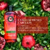 Herbal Essences Shampoo Herbal Essences Pelo Largo Granada y Proteína