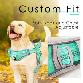 ADVENTUREMORE Small Dog No Pull Harness with QR Code Tag, Reflective Vest, Front Clip Handle for Training Walking - L Teal