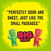 SOUR PATCH KIDS Big Kids Soft & Chewy Gummy Candy,