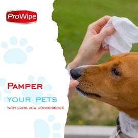 ProWipe Pet Wipes, Dog Wipes, Cat Wipes, Wipes for Pets with Aloe Extract & Vitamins, Perfect as Eye, Ear Wipes, for Bums, Suitable for Puppy, Kitten, Dogs and Cats, 1 Pack - 40 Count