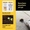 Revive a Bee Gold Bee Revival Kit A Keyring with