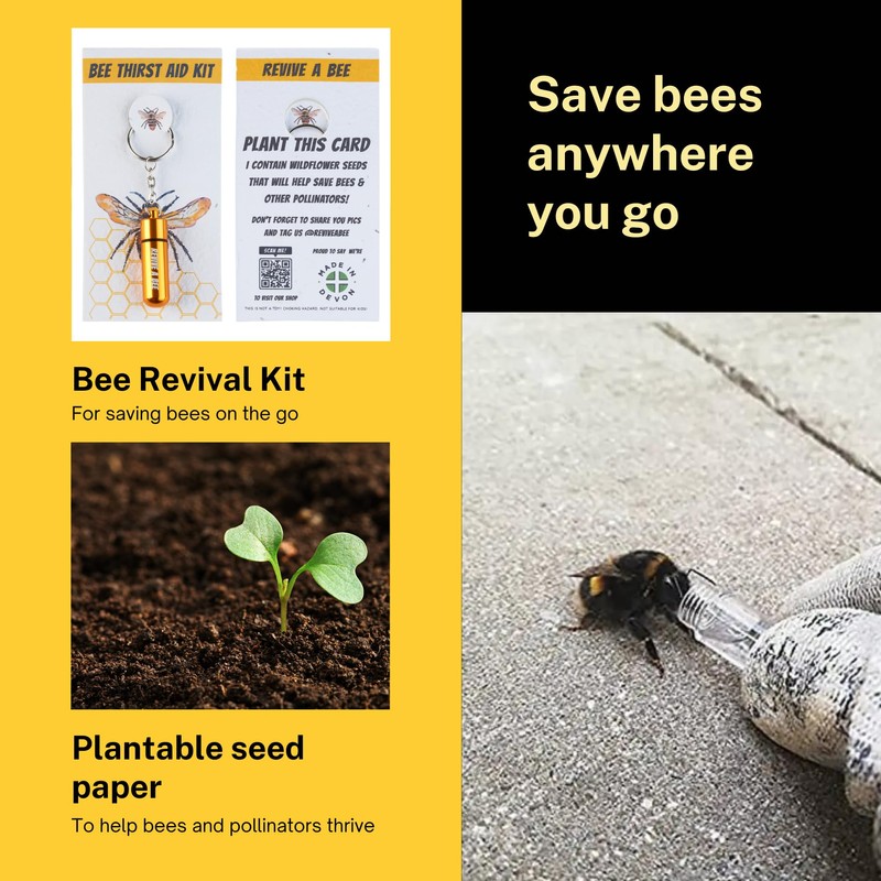 Revive a Bee Gold Bee Revival Kit A Keyring with