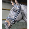 John Whitaker Ready To Ride Snaffle Bridle Havana Full