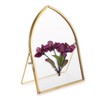 JUXYES 5x7 Inch Tabletop Double Glass Frame for Pressed Flowers,
