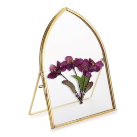 JUXYES 5x7 Inch Tabletop Double Glass Frame for Pressed Flowers, Glass Desktop Picture Artwork Display Frames, Brass Floating Frame Style for Dried Flowers Photo Picture Poster etc