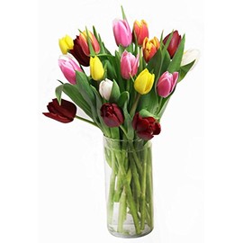 eflowerwholesale - 30 Stem Dare to Impress Fresh Cut Tulips