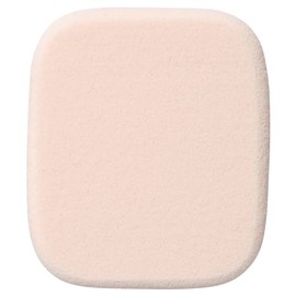 Foundation Sponge N