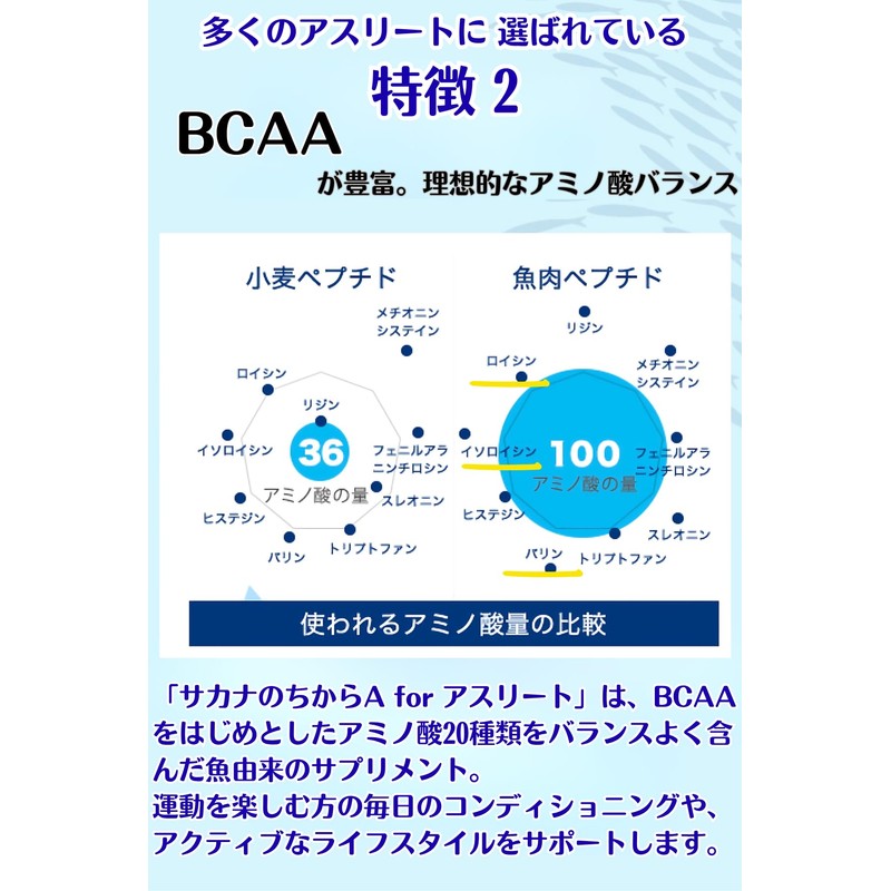 A for Athletes from Sakana