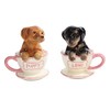 Pacific Trading Dachshund Puppies Tea Cup Puppy Love Salt and