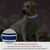 Reflective Dog Collar with Buckle Adjustable Safety Nylon Collars for