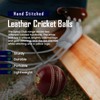 Splay Academy Red Cricket Ball Senior Adult Balls Leather Club
