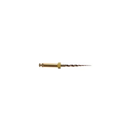 Dentsply Maillefer A0410219G0103 ProTaper Gold Rotary File 19mm SX 6/Pk