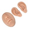 Silicone Ear Model Novice Simulated 3D Nose and Mouth Model