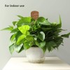 3Pcs 450mm Coir Totem Pole Moss Stick Fibre Plant Climbing