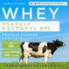 nichie Whey Protein WPC Grass Fed, 3.5 oz (100 g)