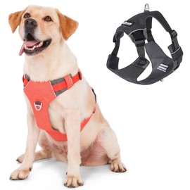 LIOPARD Dog Harness, Easy Walk Pet Harness No Pull with 2 Leash Clips, Reflective Running Soft Padded Adjustable Puppy Vest, Heavy Duty Seatbelt Harness for Car for Small Dogs (Orange, S)