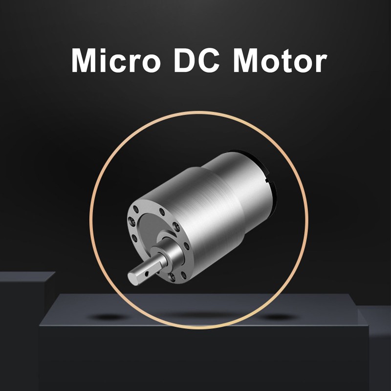 DC Geared Motor CW CCW Speed Reduction Self Locking Turbine