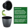 Planterhoma Self Watering Pots for Indoor Plants (Silver Gold, 6.7
