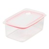 Pearl Metal Easy Clean HB-2625 Deep Airtight Storage Container, M,