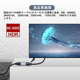 HDMI Relay Adapter (Set of 1) LpoieJun.J (4K@60Hz 18Gbps High Speed) Extension Connector (Female-Female)