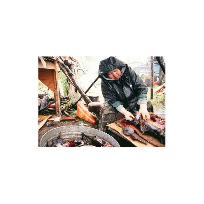 Expeditionen ins Tierreich - Abenteuer Yukon [2 DVDs]