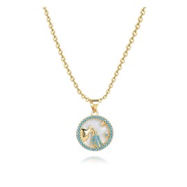 SBI Jewelry Aquarius Birthday Zodiac Necklaces for Women Cubic Zirconia Gold Choker Gift Necklaces for Family Christmas Friends Anniversary