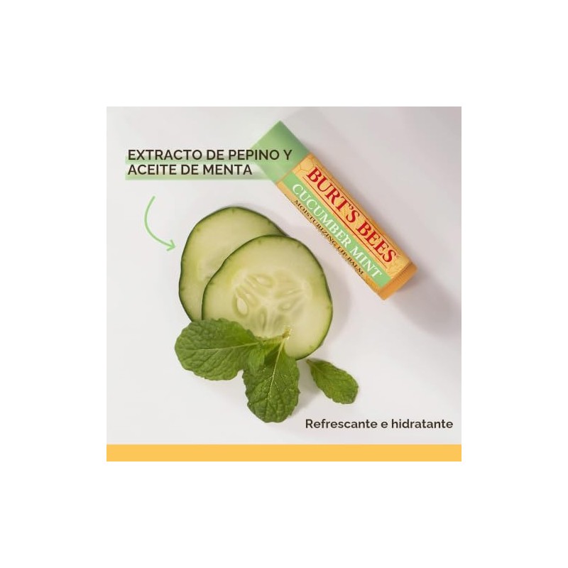 Bálsamo Labial Burt's Bees Pepino y Menta 4.25 G