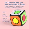 Oostifun FunnyGoo 1x1x1 Cube Dice Cube 1x1 Puzzle (Standard Version)