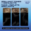 Clairol Nice'n Easy Permanent Hair Dye, 1N Deepest Black Hair