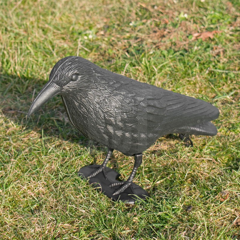 KCT Crow Decoy Full Bodied Realistic Hunting Prop and Bird