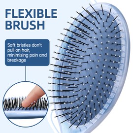 Daily Gard Detangler Hair Brush, Dry and Wet Detangling Hair Brush for Women and Men, Paddle Hairbrush for Wet/Dry/Curly/Thick/Long/Wavy/Damaged Hair, Blue