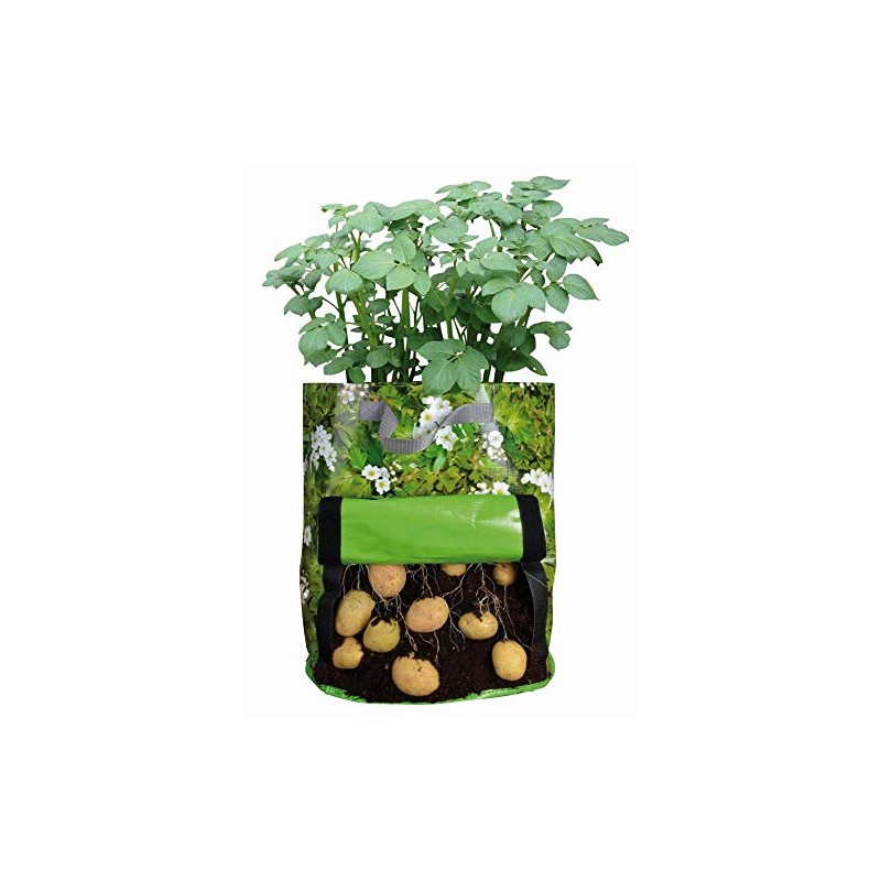 Fallen Fruits Potato Planter