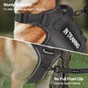 Petmolico Tactical Dog Harness with Leash, No Pull Dog Harness