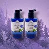 Happybath 해피바스 드리밍 라일락 바디워시 490g 2개 Happybath Dreaming Lilac Body Wash 490g 2pcs
