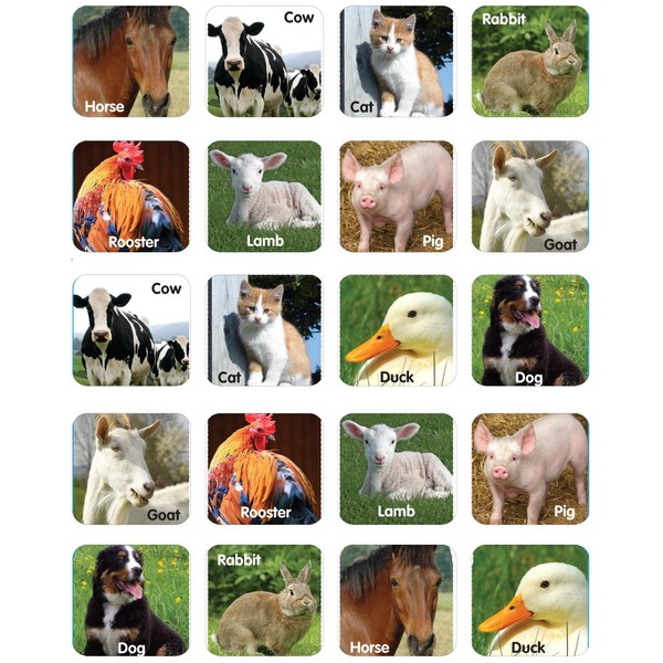 Eureka Farm Animals Photos Stickers