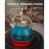 Poliviar Modern Kettle Induction Whistling Kettle Stainless Steel Tea Kettle