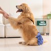 3 Pack Avont Washable Female Dog Diaper with Suspender, Reusable