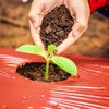 Red Mulch Professional Large Coverage Increases Harvest PE Garden Plastic