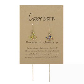 Gold Star Sign Rhinestone Drop Earrings – Capricorn (22nd December - 19th January) - Zodiac Constellation Horoscope Celestial Astrology Jewellery - Women Men Gift
