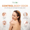 Healov Persimmon Body Wash for Body Odor Control – Purifying