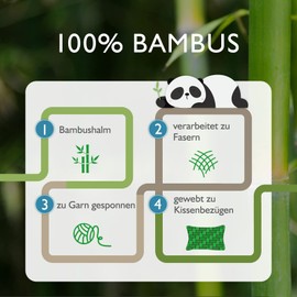 Joyhabit Bamboo Cushion Cover, 40 x 60 cm, 100% Pure Natural, Soft and Silky for Baby, Vegan and Environmentalists, Pack of 2, Snow White