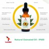 LucaED Ozonated Sunflower Oil for Face & Body – Boosts