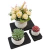Coshar Wood Riser Display Pedestal Stands Black Wooden Risers for