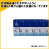 Kutsuwa STAD Color Ruler, 6.3 inches (16 cm), KB027PK Pink