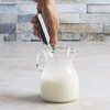 Primula Milk Frother, Handheld Whisk, Drink Foamer, Mini Blender Mixer