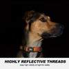 TwoEar Heavy Duty Dog Collar Reflective, Adjustable Nylon Pet Collar
