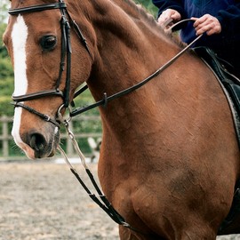 Shires Nylon Harbridge Training Aid Cob