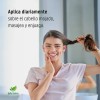 Shampoo Cacahuanache Anticaída Y Regenera 500 Ml