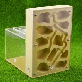 Shiwang 대형 Shiwang 개미 집 번식 둥지, 석고 보습 및 수유 Large Shiwang Ant Farm Breeding Nest, Plaster Moisturizing and Nourishing